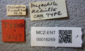 Media type: image;   Entomology 16269 Aspect: labels